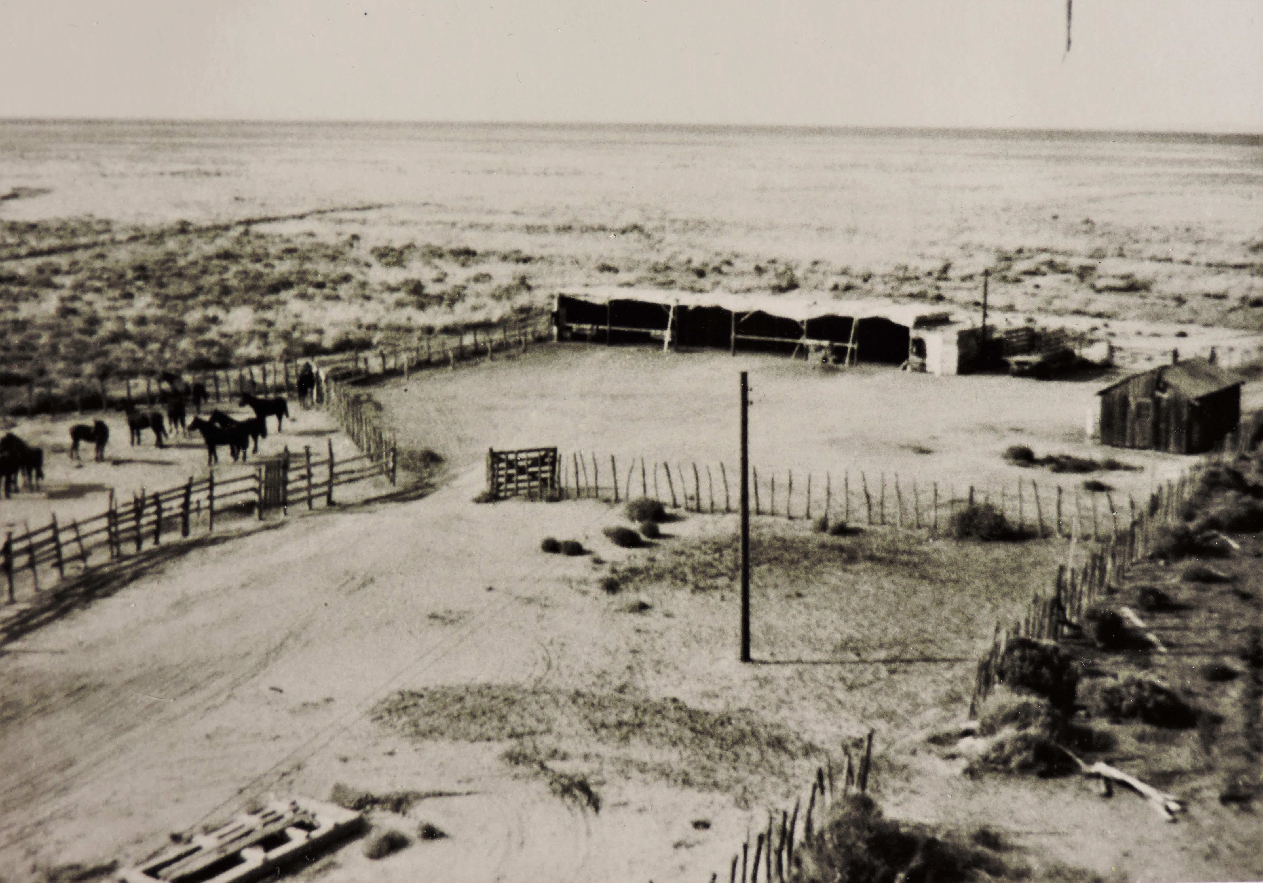 The Trinity Test Site – Page 3 – White Sands Missile Range Museum