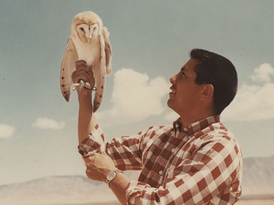 Sleeping Beauty Awakens